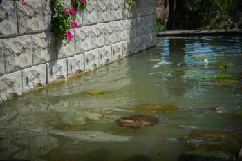 Resort Sungreen Habarana
